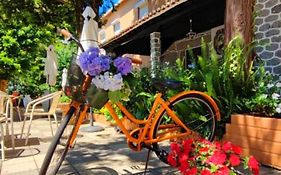 Corredoura Garden